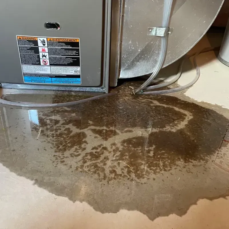 Appliance Leak Cleanup in Seaside Heights, NJ